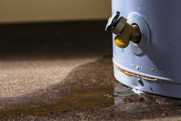 Best Fire Damage Restoration  in Lake Elsinore, CA