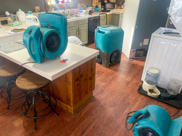 Best Commercial water damage restoration  in Lake Elsinore, CA