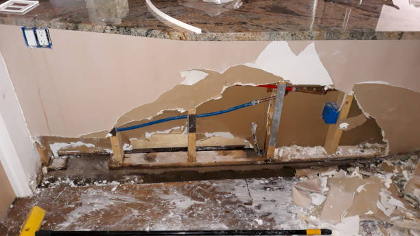Best Residential water damage restoration  in Lake Elsinore, CA