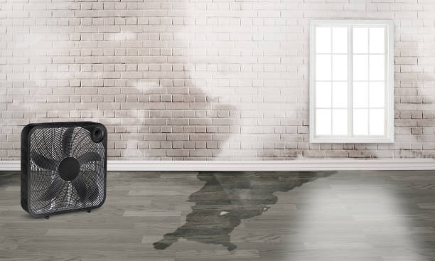  Lake Elsinore, CA Water damage restoration Pros