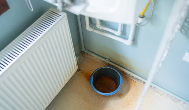 Best Water damage restoration insurance claims  in Lake Elsinore, CA