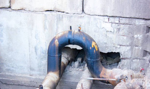Best Water damage restoration specialists  in Lake Elsinore, CA