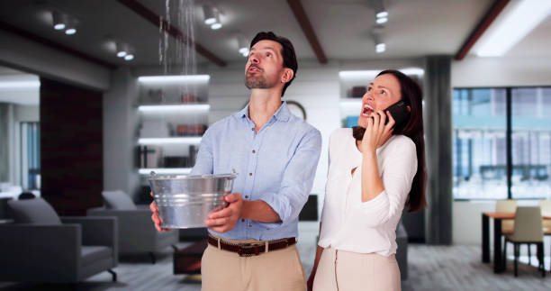 Best Professional water damage repair  in Lake Elsinore, CA